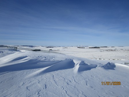 Aubrac_le_faltre_2026__25_.JPG, janv. 2026