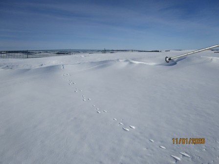 Aubrac_le_faltre_2026__26_.JPG, janv. 2026